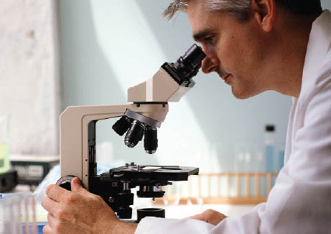 Pathologist looking into microscope